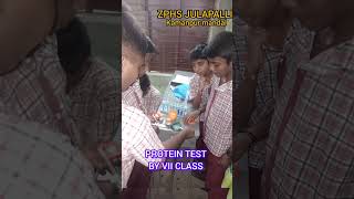 PROTEIN TEST BY VII CLASS ZPHS JULAPALLIKAMANPUR MANDAL [upl. by Liuqa513]