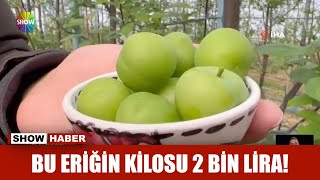 Bu eriğin kilosu 2 bin lira [upl. by Otrebla]