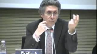 Roberto Pucella  La causalità nell’illecito civile e nella responsabilità contrattuale  532015 [upl. by Melitta]