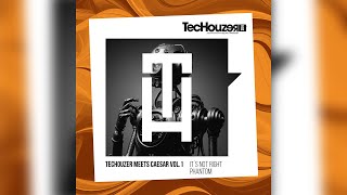 TecHouzer meets Caesar Vol 1  It´s Not Right Extended Mix [upl. by Leimaj534]