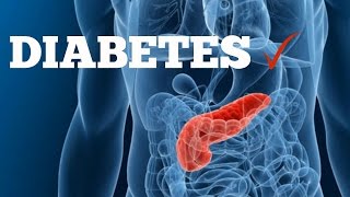 Diabetes onze bloedsuiker uitgelegd [upl. by Karyn367]