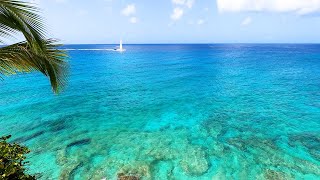 Island View 6 Hours of Tropical Calm From The Caribbean 4K Video [upl. by Madelaine33]