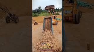 Backhoe Loading Cassava to the truck [upl. by Martinelli]