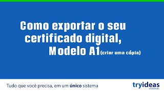 Como exportar o seu certificado digital modelo A1 criar uma cópia [upl. by Sardse]