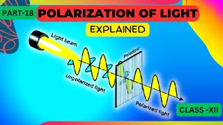 polarization of light class 12 in hindi  Wave Optics [upl. by Russon539]