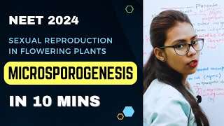 Microsporogenesis  sexual Reproduction in flowering plants  Class 11  NEET 2024 [upl. by Otsirc]