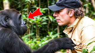 Man Raised a Baby Gorilla Look How The Gorilla Reacted Years Later [upl. by Mauve]