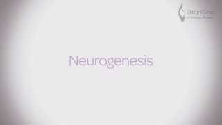 Neurogenesis  Nutrition for baby development [upl. by Mafalda]