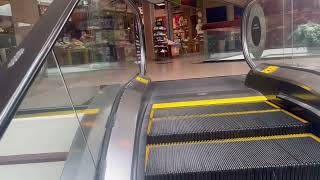 Schindler Escalators near former SEARS at Altamonte Mall  Altamonte Springs FL [upl. by Surazal]