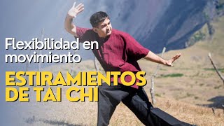 FLEXIBILIDAD EN MOVIMIENTO Los mejores estiramientos de Tai Chi para transformar tu flexibilidad [upl. by Sira525]