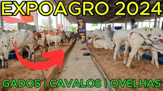 ExpoAgro Maceió 2024  Evento COMPLETO  4K UHD [upl. by Amabelle]