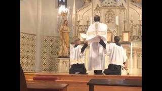 Latin mass In the immaculate conception cathedral in Brownsville TX [upl. by Nannaihr]