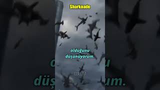 En Kötü Köpek Balığı Filmleri shark sharkmovie shorts [upl. by Ulrich]