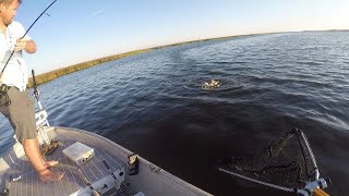 Choctawhatchee Bay Fishing  Hogtown Bayou  Redfish and Trout  September [upl. by Pillihp]