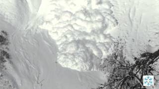 Large avalanche experiment of SLF in Valais Switzerland January 2016 [upl. by Nalod797]