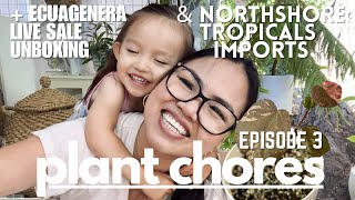 Plant Chores Ep 3  Imports Unboxing and Haul  Hoyas and more 😘 [upl. by Aynotahs]