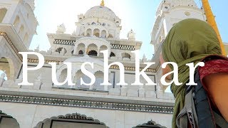 14 THINGS TO DO IN PUSHKAR  PUSHKAR TRAVEL GUIDE  INDIA VLOG [upl. by Ardiedal335]