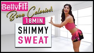 Shimmy Calorie Burner  Belly Dance Cardio Fitness [upl. by Dier]