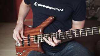 Dave Brubecks quotTake Fivequot bass coverplaythrough with solo [upl. by Norbie]