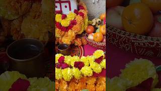 Utpanna Ekadashi Vrat Puja🙏 ekadashi utpannaekadashi vratpuja vratkatha blessing pujavlog god [upl. by Nommad]