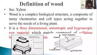 WOOD ANATOMY [upl. by Gauthier]