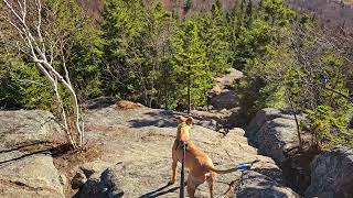 franconia notch 🦮🦵 [upl. by Annil]