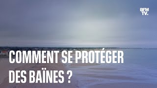 Comment se protéger des baïnes responsables de 80 des noyades dans le SudOuest de la France [upl. by Suirauqram397]