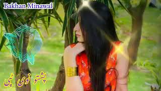 2024 new pashto song  New tapay best  allpashtosongs afghanistan youtubeviralvideo tiktok [upl. by Lyons]