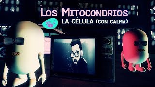 Los Mitocondrios  La Célula Con Calma [upl. by Amadis]