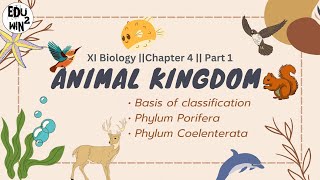 Animal Kingdom  Class 11 Biology  Chapter 4 Part 1 [upl. by Weatherby]