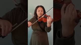 Toss A Coin To Your Witcher Violin Cover shorts [upl. by Refanej236]