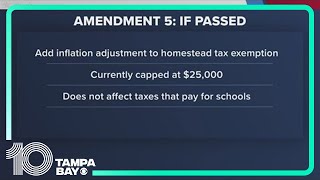 Florida voters prepare to decide on 6 different amendments [upl. by Yaras471]