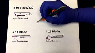 Incisions Blade Types Making the Cut [upl. by Orodoet]