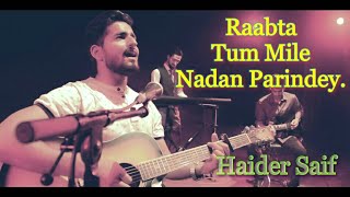 Raabta  Tum Mile  Nadan Parindey  Tu Jane Na  Medley by Haider Saif [upl. by Hamfurd597]