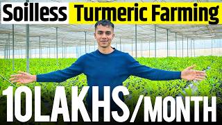 1 acre से 1 crore Soilless Turmeric Farming Profits Explained  Agritalk By Abhinav Roy [upl. by Anire]