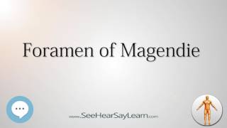 Foramen of Magendie Anatomy Named After People 🔊 [upl. by Armitage]