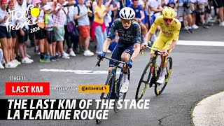 Last Km  Stage 11  Tour de France 2024 [upl. by Estevan809]