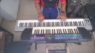 Mastruz com leite  Brincar de amar  piano cover [upl. by Haskel]