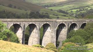 Ribblehead Viaduct amp Dent On The Settle Carlisle Railway Highest mainline station in England [upl. by Znerol]