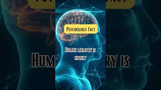 Human MEMORY is highly psychology fact shorts [upl. by Medarda]