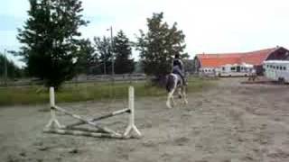 My young clydesdale jumping [upl. by Zacarias]