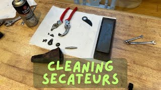 Cleaning Your Secateurs [upl. by Birdella]