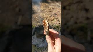 Making Pine Tar First Attempt [upl. by Wake]