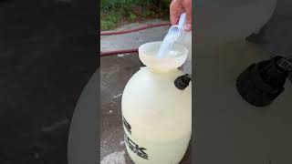 Attempting to clean dog urine from rugs  Carpet cleaning at home  Enzyme cleaner  House Project [upl. by Jaddan]