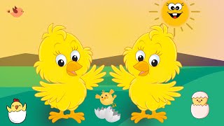 Cheep Cheep say the little chicks  Childrens song [upl. by Aloap]