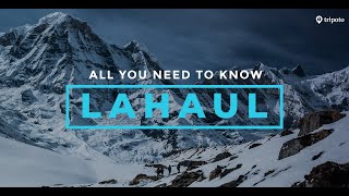 An AllInclusive Lahaul Travel Guide How To Reach Budget Sightseeing Hotels  Tripoto [upl. by Nelyag583]