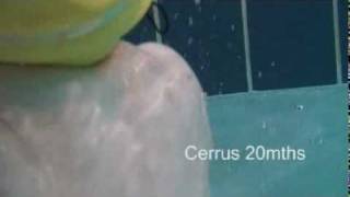 Cerrus  20 month old Swimming [upl. by Cristin]