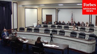 Army Officials Testify On Extremism Policies To House Armed Services Committee [upl. by Yesnel]