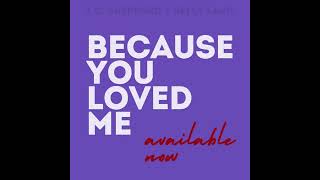 TG SHEPPARD AND KELLY LANGS NEW SINGLE quotBECAUSE YOU LOVED MEquot AVAILABLE NOW [upl. by Boak]