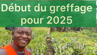 Quand réussir le greffage pour la campagne agricole [upl. by Chesnut]